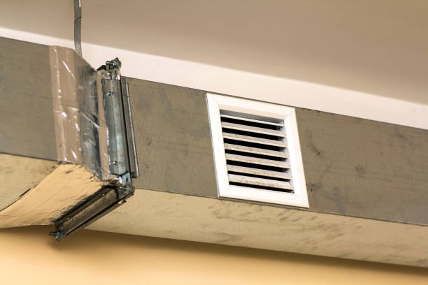 Best Air Duct Mold Removal  in Friedens, PA